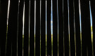 Slats and Field, West Carlton